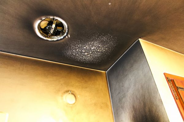 Cost of Smoke Damage Removal in Riverton